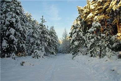 《狂野之心》Steam多半差评 普遍反应优化太差